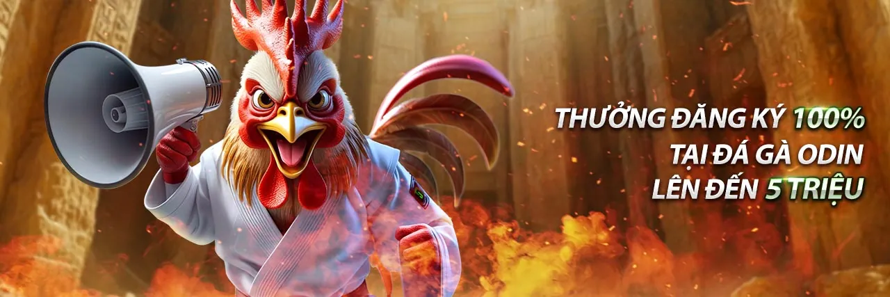 Hình ảnh chấp thuận điều khoản dịch vụ tai123b